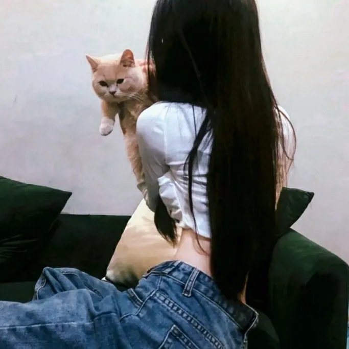 美女总裁的贴身特工